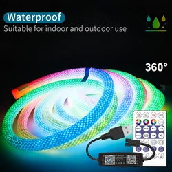 WS2812B WS2811 Round Reticulate Pattern Neon LED Strip 360 Degree 50Leds/m Smart  RGBIC Flexible Silicone Light Tape IP67 DC5V