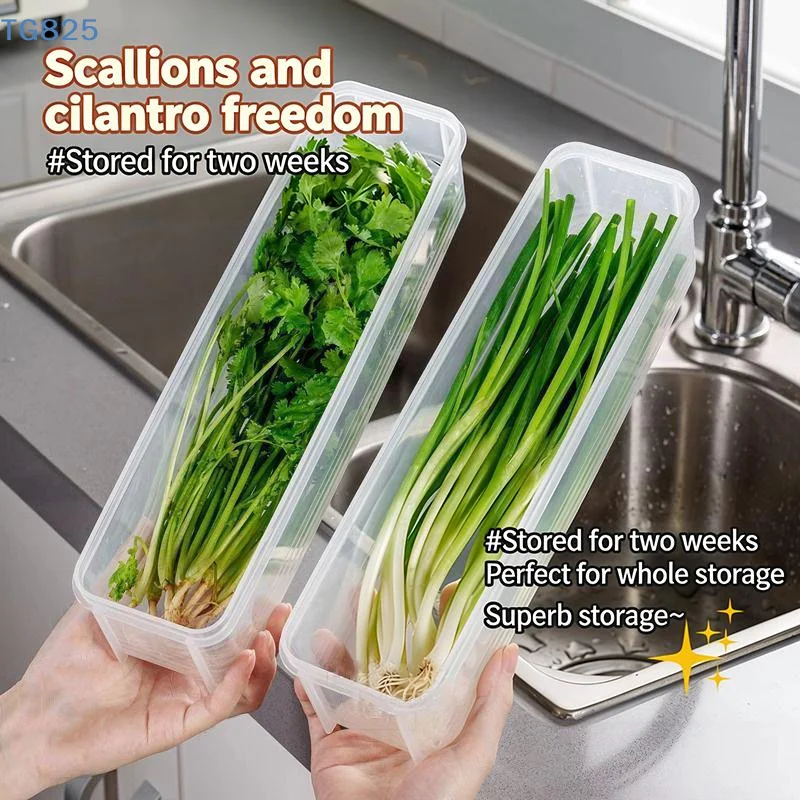 【AN】Scatola per la conservazio - Food Storage Small recensione e prezzo