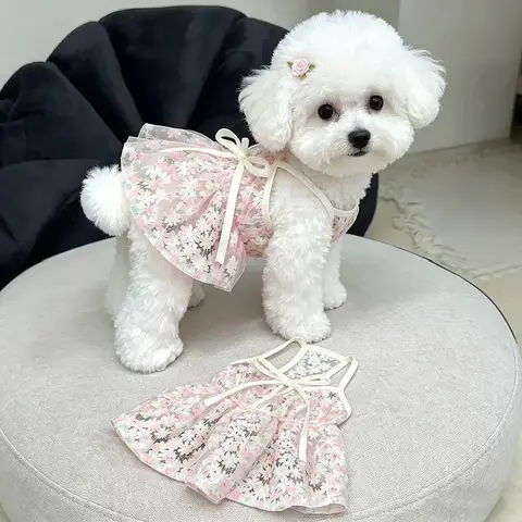 Spódniczka dla psa Bichon Cherry Princess 2026, zapobiegająca wypadaniu sierści, oddychająca, z paskami, popularna spódniczka dla małych psów, Yorkshire, Teddy.