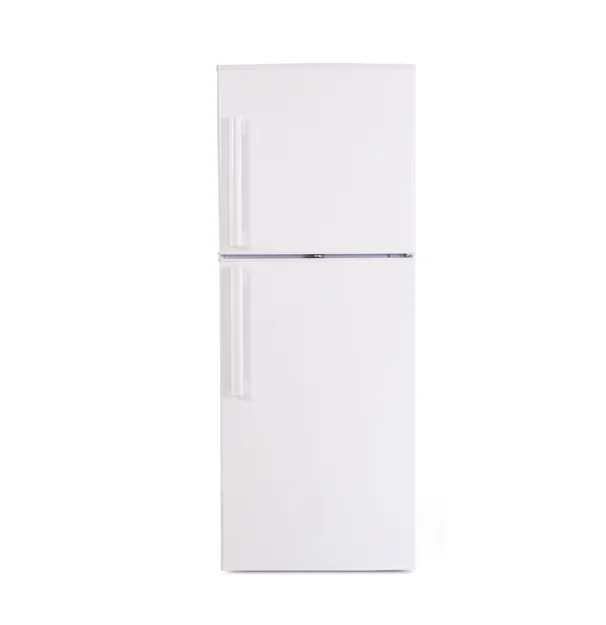 Picture 4: Hot Sale, Two Door Kitchen, Large Refrigerator and Freezer