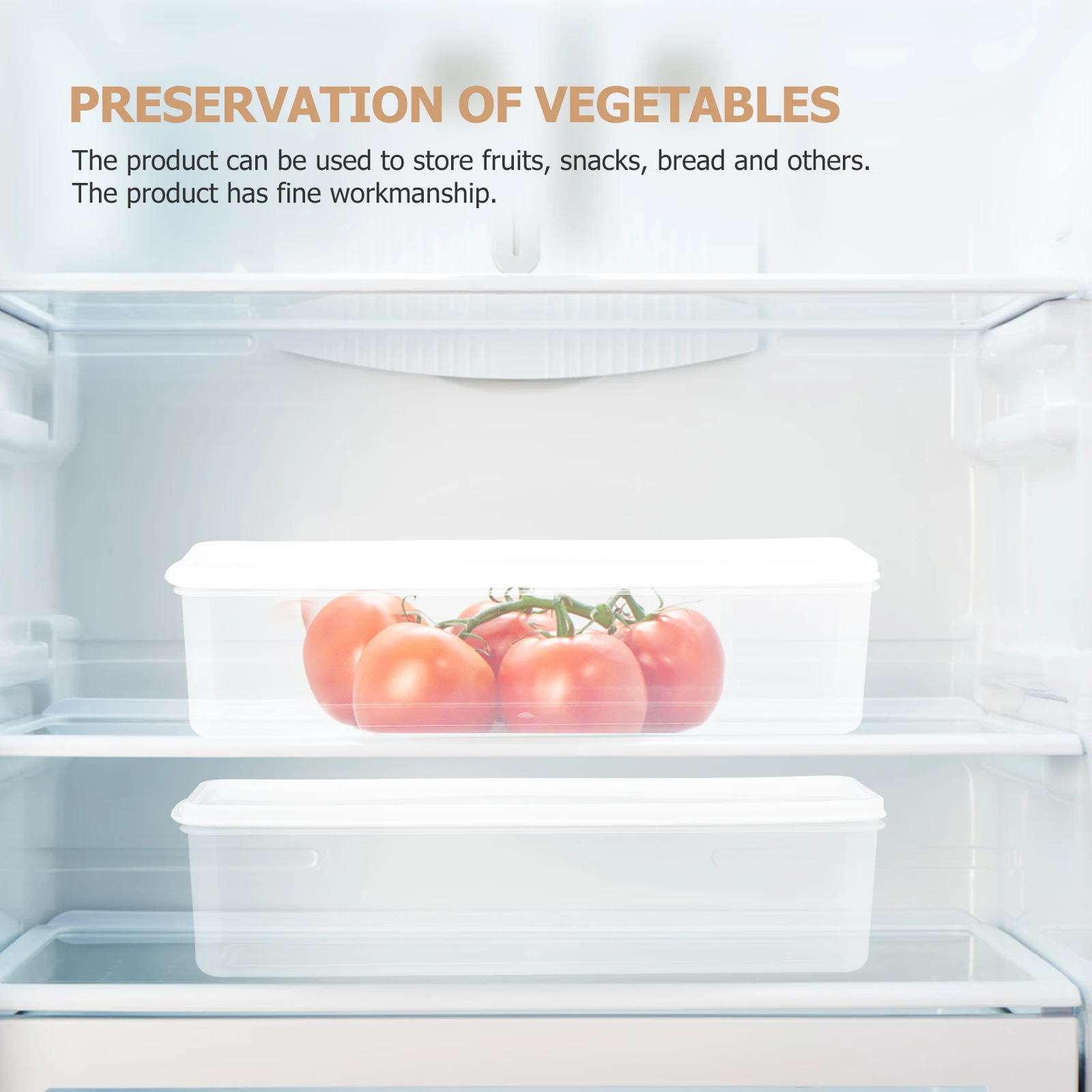 

3 Pcs Noodle Boxes Food Storage Containers Fridge Organizer Freezer Boxes Egg Container PP Keep Simple