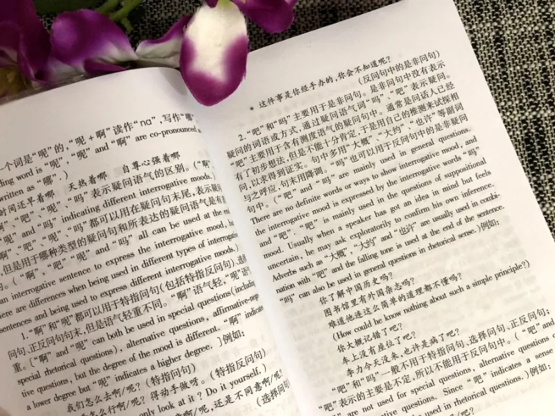 Interprétation proportionnelle authentique des mots communs en chinois comme langue étrangère, éditée par Lu Fubo, comparaison de confus