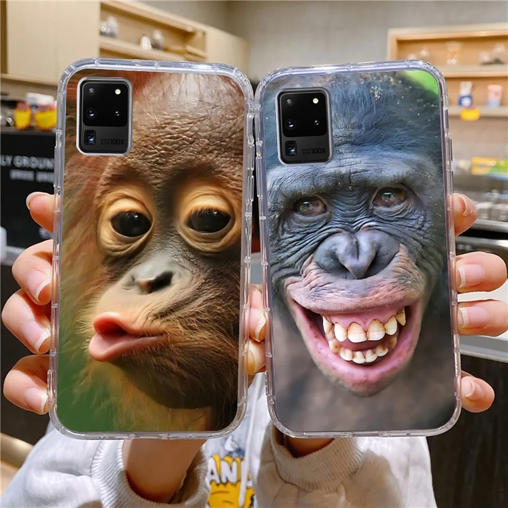 Monkey Sipping Capri Meme Phone Case For Samsung Galaxy A52 A12 A51 S21 Edge S22ULTRA S23 S20LITE Plus Ultra Transparent Cover