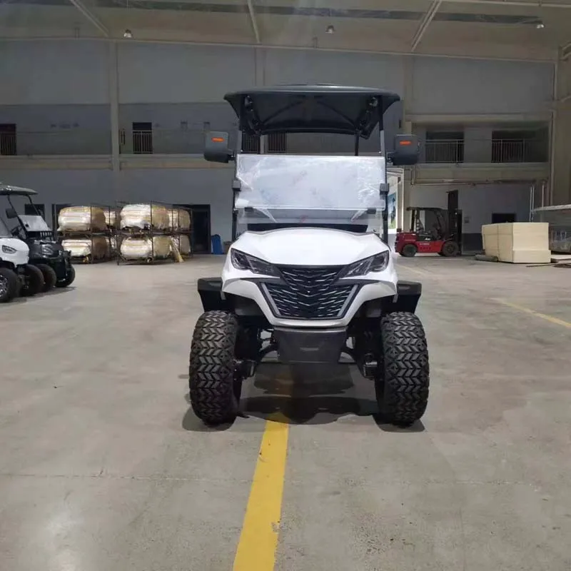 2 4 6 مقاعد عربة جولف كهربائية صينية للبيع 48 فولت 60 فولت 72 فولت ليثيوم مخصص عربات جولف كهربائية مريحة #4