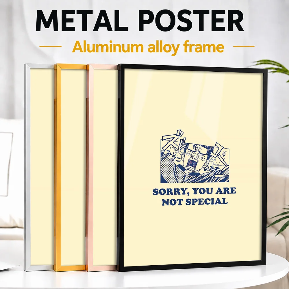 Sorry You Are Not Special Quote Framed Aluminum Metal Poster Customized Photo Bold Typography Style Wall Art For Home Office