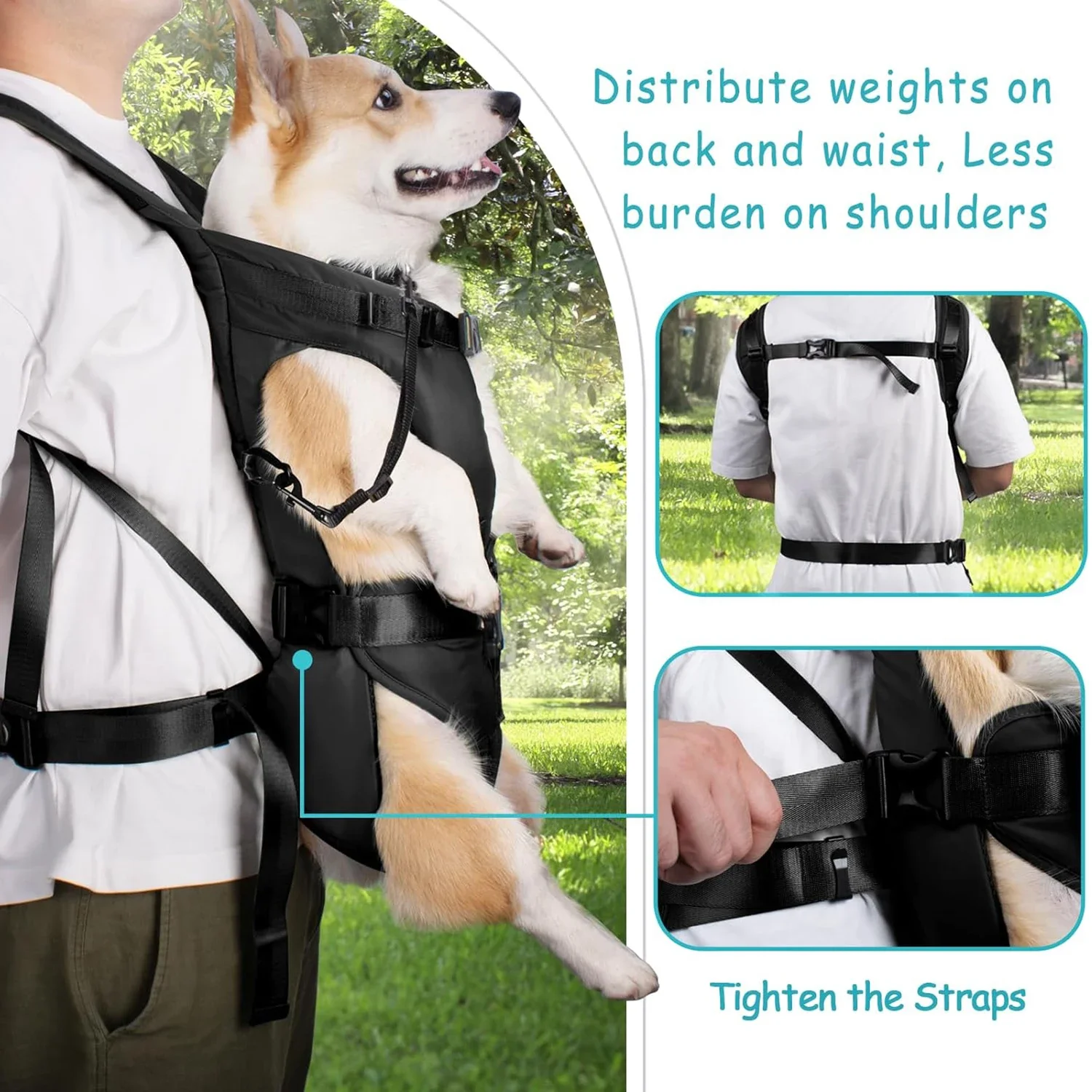 Thumbnail 3 - #44 Best Pet Carriers to Buy In 2026