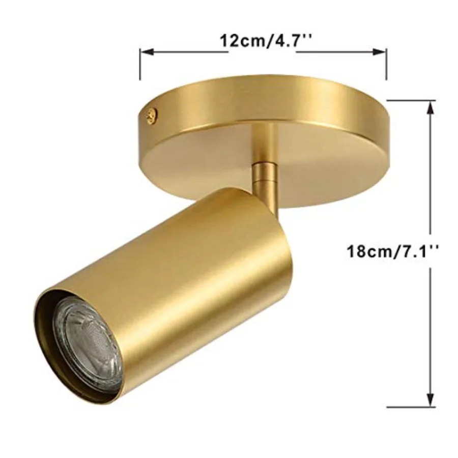 Lighting Modern LED Tacking Lighting Brushed Flush Mount Ceiling Spotlight Fixtures Single Brass Kitchen Track Lighting Indoor