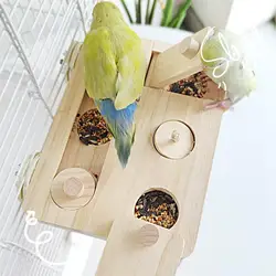 Wooden Bird Foraging Puzzle Toy Parrot Enrichment Toy for Small Animals Rabbits Guinea Pigs Hamster Food Training Toy