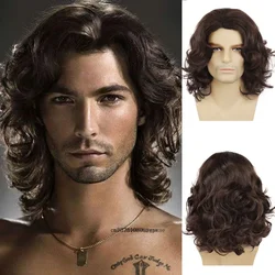 Pelucas sintéticas para hombre, pelo largo y rizado, color marrón, Natural, peinado esponjoso, transpirable, resistente al calor, uso diario, disfraz de Cosplay