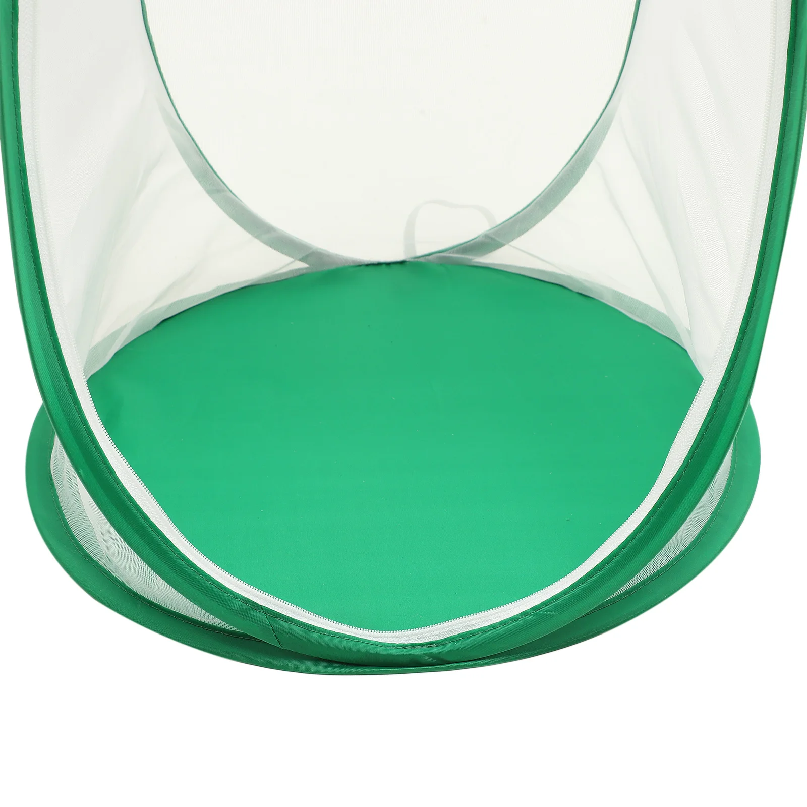 

Insect Cage Butterfly Habitat Green Collapsible Observation Cage for Breeding Lightweight Storage Air Circulation Pet Supplies