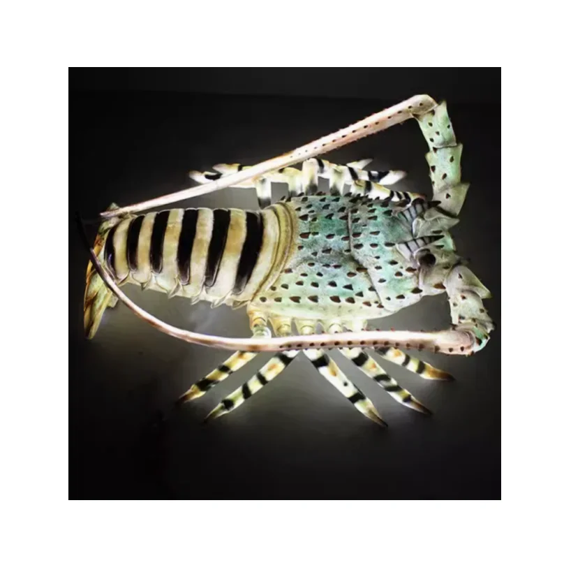 

Fiberglass custom LED hotel restaurant seafood resin statue decoration wall hanging animal statue seafood crayfish sculpture