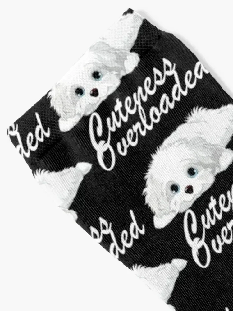 Cuteness overloaded #unique Socks cute anti-slip christmass gift luxury Male Socks Women's