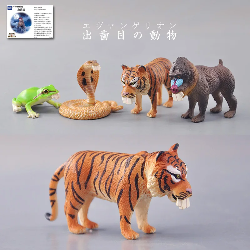 

T-ARTS Gacha Funny Buck Teeth Wild Animals Figure Gagtooth Tiger Monkey Frog Mandrill Snake Model Ornaments Gashapon Capsule Toy