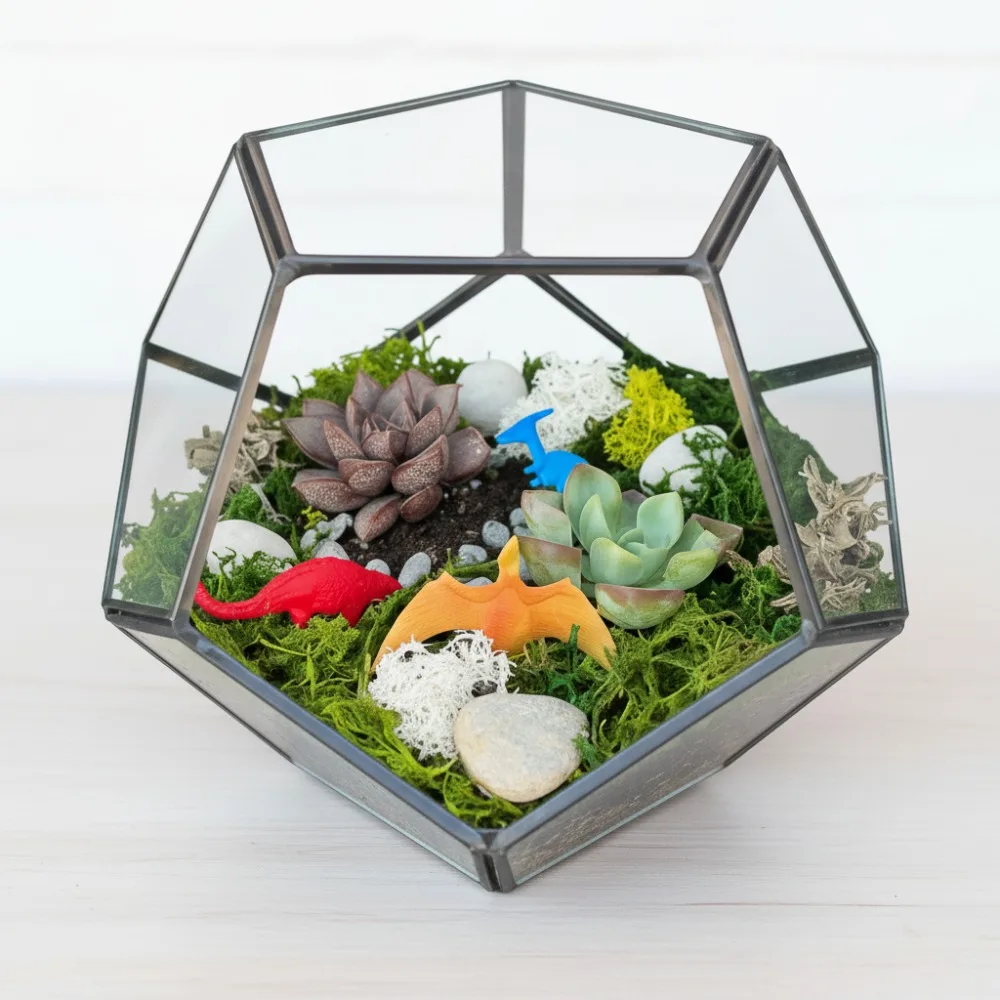 

Geometric Glass Terrarium Kit - DIY Plant Habitat with Moss & Soil - Perfect Gift for Nature Lovers