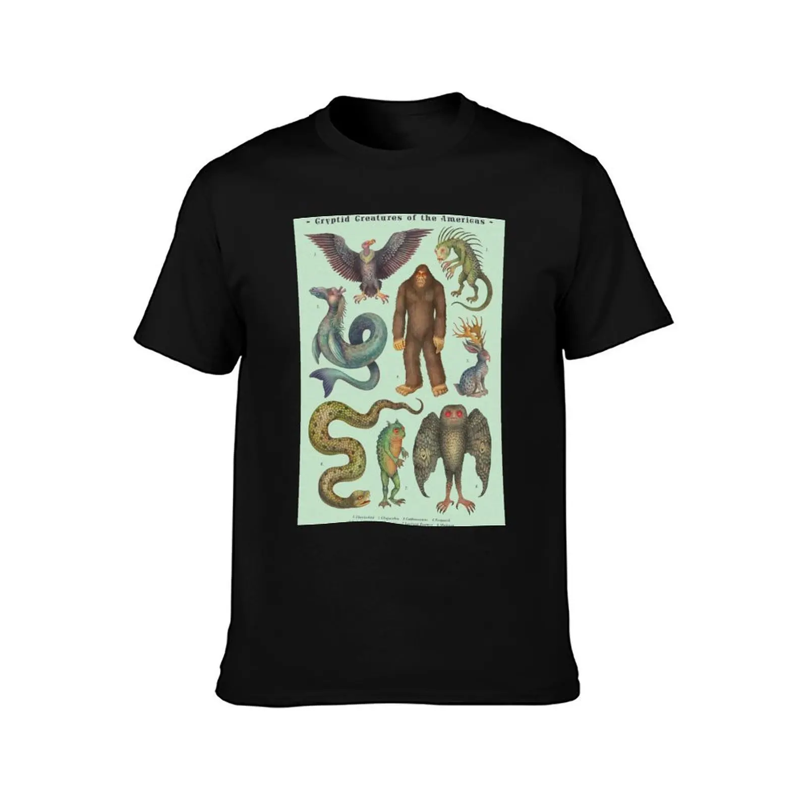 Cryptids of the Americas, Cryptozoology species T-Shirt Simple Solid Color Crew Neck Tee T-Shirt