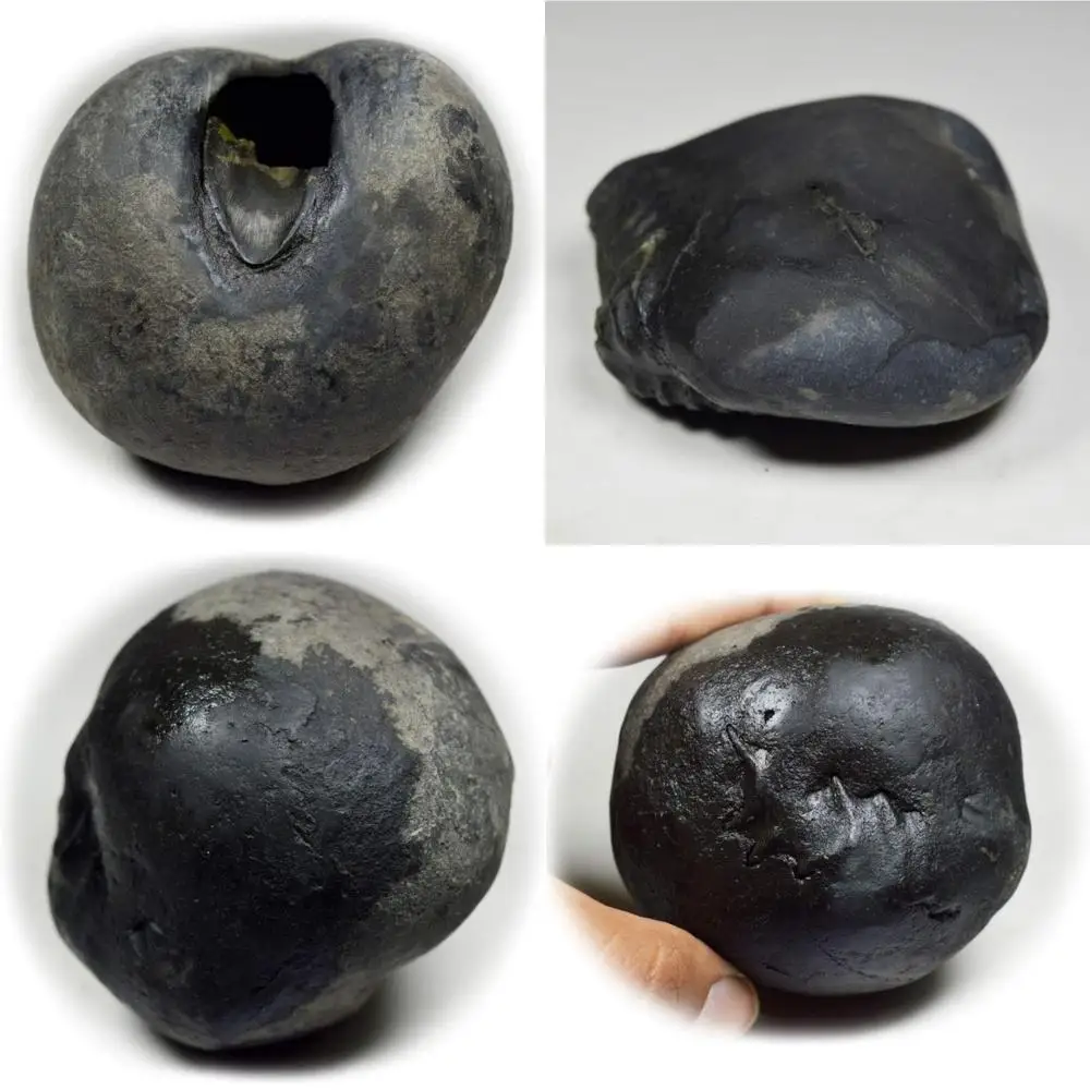 

Оптовый высококачественный 55-каратный шелуграммный камень от Gandaki River, Nepal, ископаемый, вдохновленный Lord Vishnu, класс A+, длинный хвост