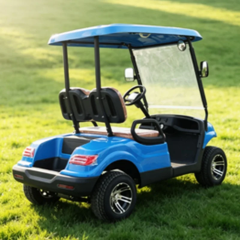 Long Range Battery Powered Adults Golf Cart Electric Solar Panels Buggy Golf Cart Electric 12 Inch Wheel Upholstered Seat