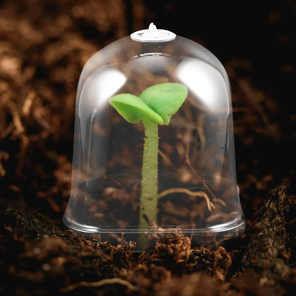 6Pcs Square Plant Nursery Pots Dome Seedling Cover Indoor Outdoor Mini Greenhouse Plant Protector Clear Humidity Dome for Garden
