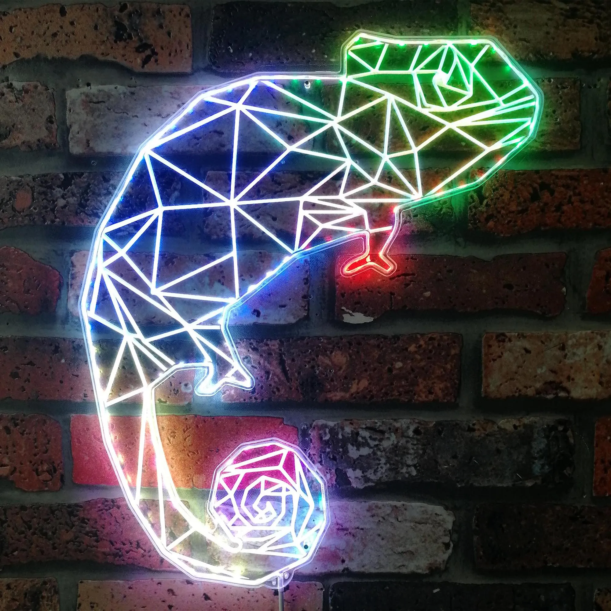 Chameleon Lizard Geometric RGB Dynamic Glam LED Sign st06-fnd-i0281