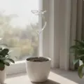 Rose L