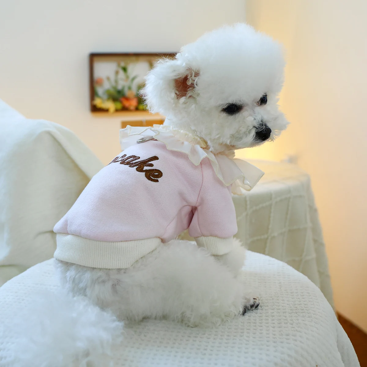 1PC Pet Clothing Cat Spring Autumn Plush Thickened Pink Cake Lace Pullover Round Neck Shirt Suitable for Small and Medium Dogs