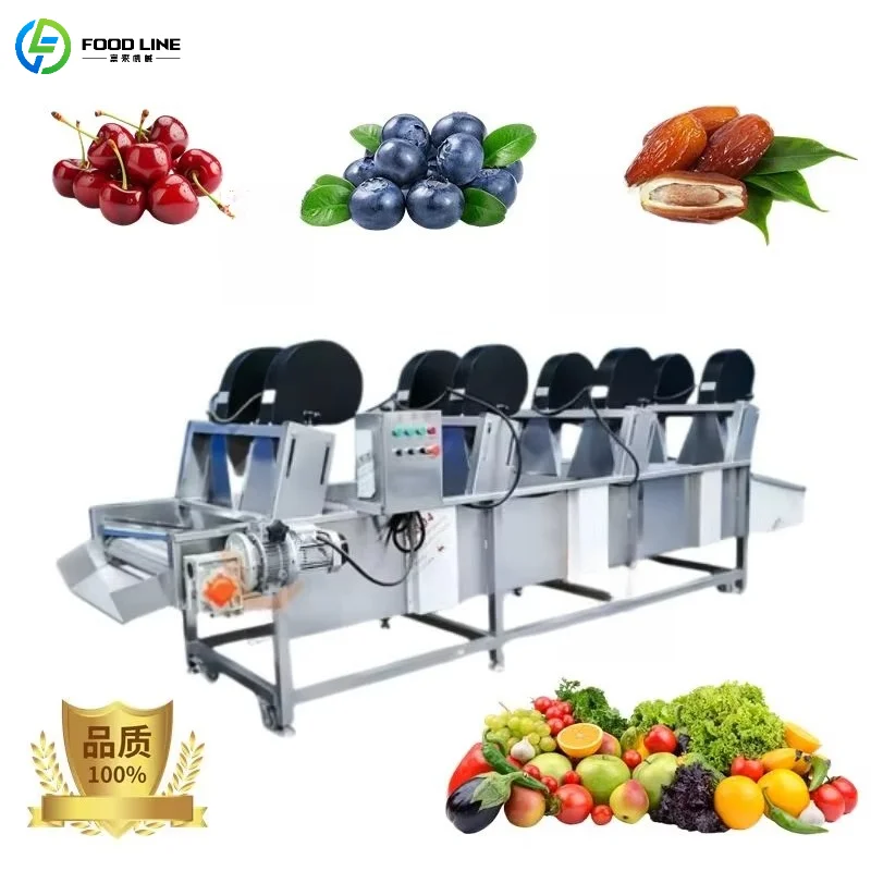 Customized Industrial Fruit Vegetable Drying Conveyor Belt Air Drying High-Efficiency Processing Equipment