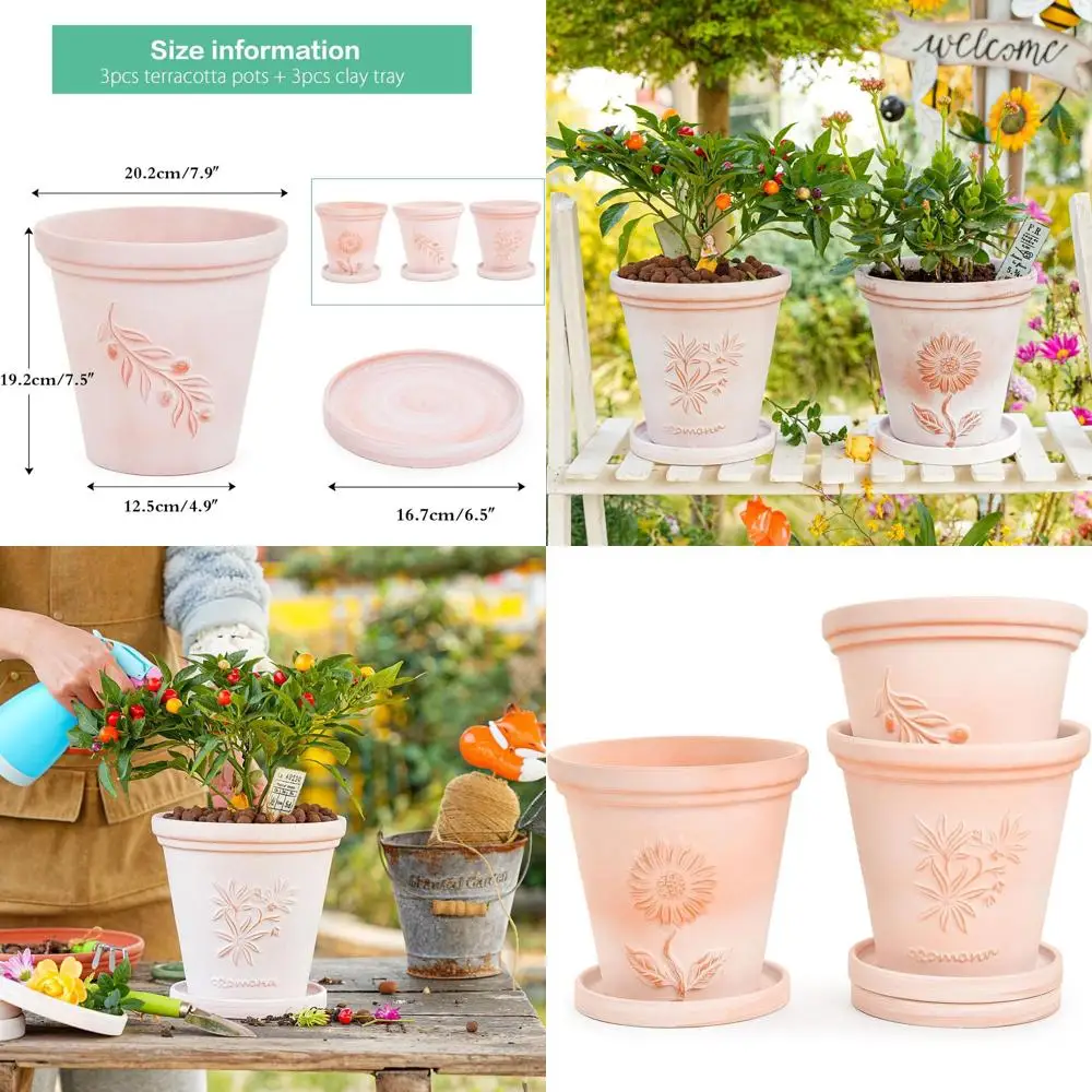 

8 Inch Terracotta Pots Set of 3 with Saucer, Drainage Hole, for Orchids, Cacti, Succulents, Unique Embossed Design Planters
