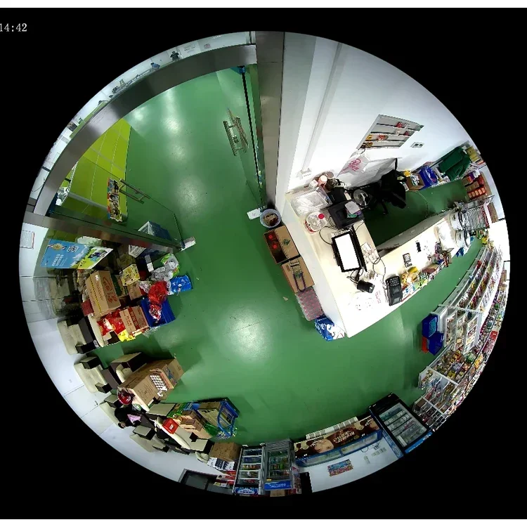 Pro 360 Panoramic Camera 5mp Fisheye Lens Security Camera 2 Ways Audio Fisheye CCTV Cameras