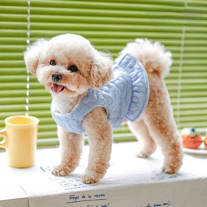 New Winter Dog Warm Coat Flower Short Design Cotton Coat Than Bear Cat Clothing Sleeveless Fashion Design Dogs Clothes