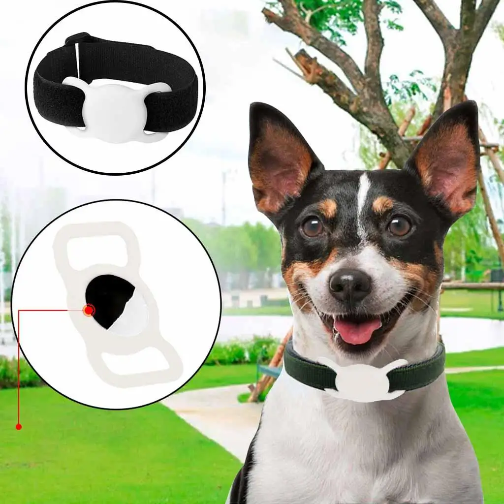 Support de boîtier anti-rayures, sangle sécurisée, support de suivi de localisation, housse en Silicone pour accessoire DJI Mini 3, collier pour animaux de compagnie