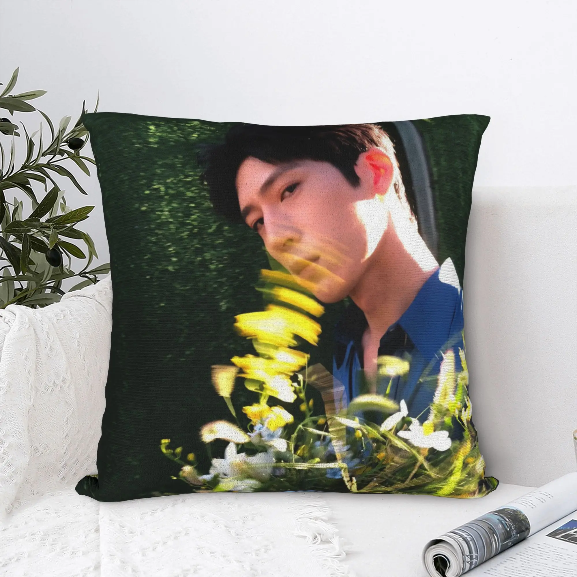 Soft Early Spring Jing Boran Luan Nian Luke Pillowcase Cushion Cover Decorations TV Throw Pillow Case Cover Home Drop Shipping