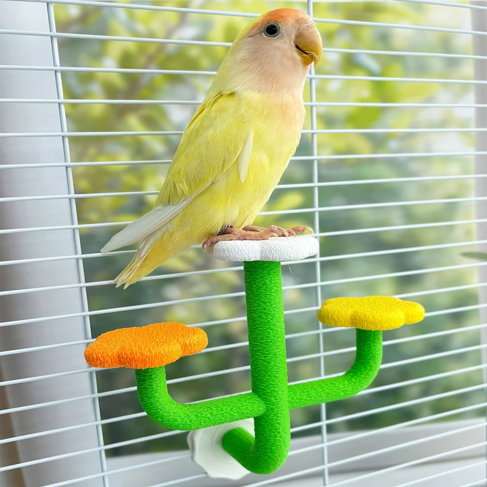 Juguete soporte cactus desmontable para loros, periquitos y cacatúas - imagen 3