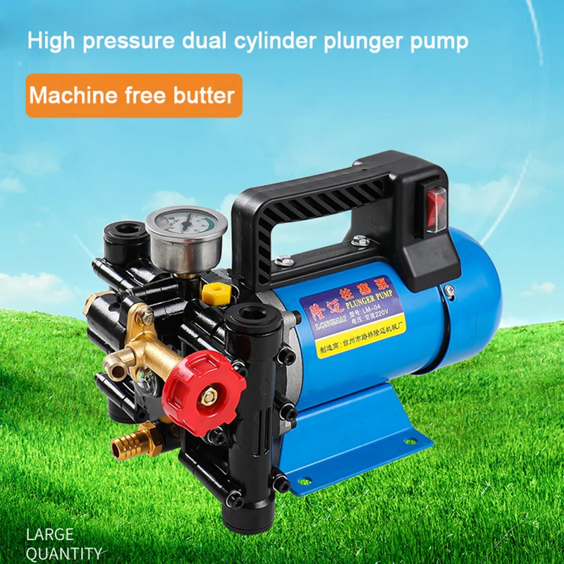 High Pressure Double Cylinder Pump Plunger Agricultural Sprayer Garden Pressure Pump Car Wash Pump 12V/24V/48V/60V/220V