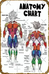Muscle Chart - Anatomy Diagram - Anime Gym Motivational Poster Vintage Metal Tin Sign Home Kitchen Bar Cafe Club Cave Vintage Ar