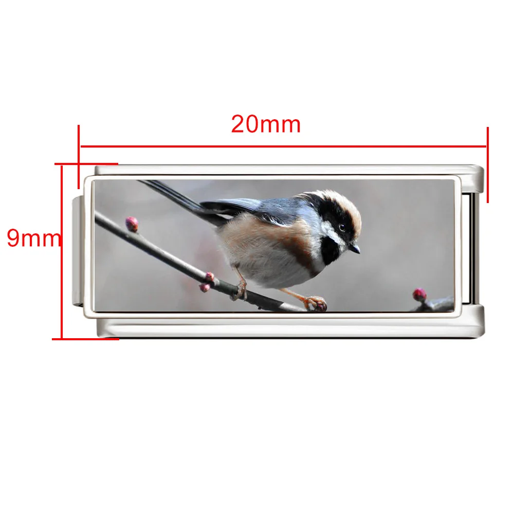 Trendy Creatieve Foto Kleurrijke Maatwerk Charms Italiaanse Links Fit 9mm Kralen DIY Roestvrij Staal Maken Sieraden Vrouwen Mannen