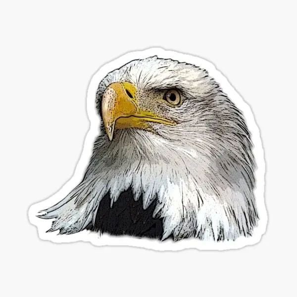 

Автомобильная наклейка Eagle для склеивания 17 см aa4