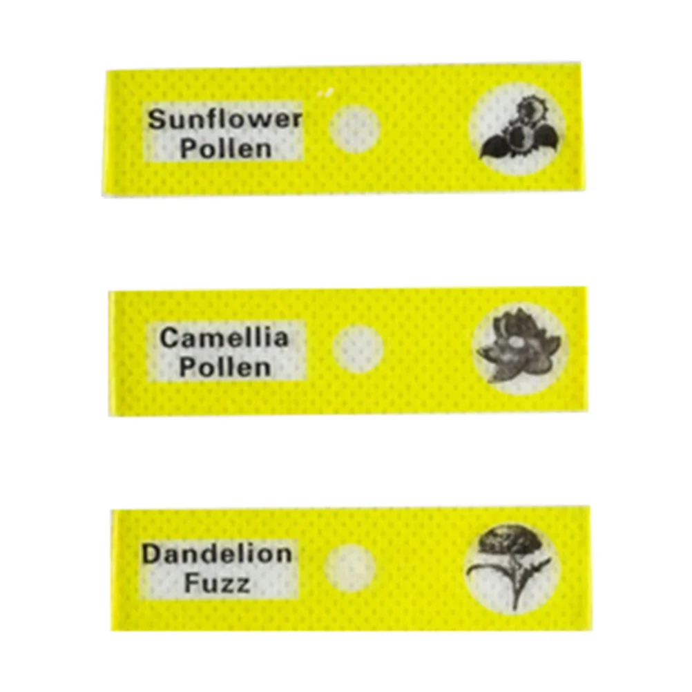 12 قطعة من شرائح العينات البيولوجية البلاستيكية للأطفال، مختبر المجهر، ألوان متنوعة، هدايا تعليمية أساسية #2