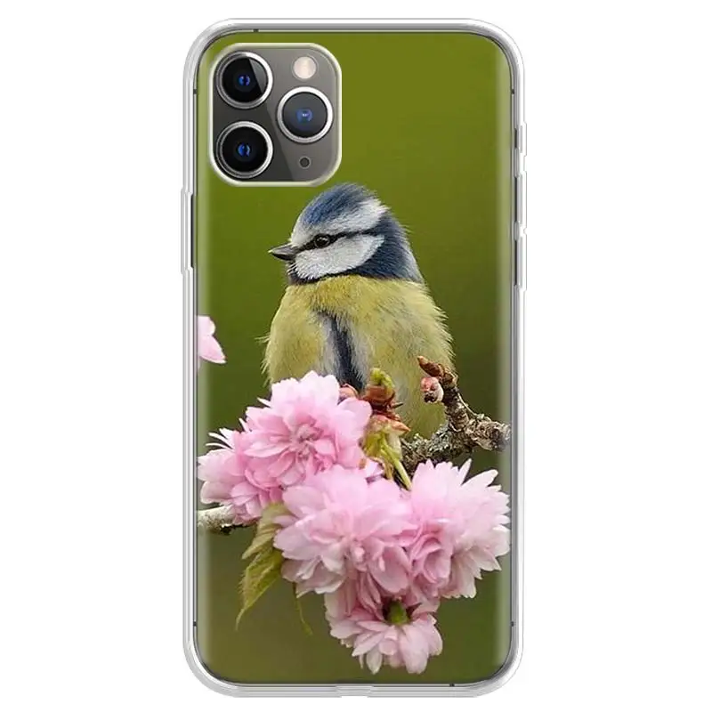 lovely birds Phone Case For iPhone 17 Air 11 13 Mini 14 15 Plus 16 12 Pro Max 16E SE 7 8 Pattern Soft TPU Back Cover Case For Ap