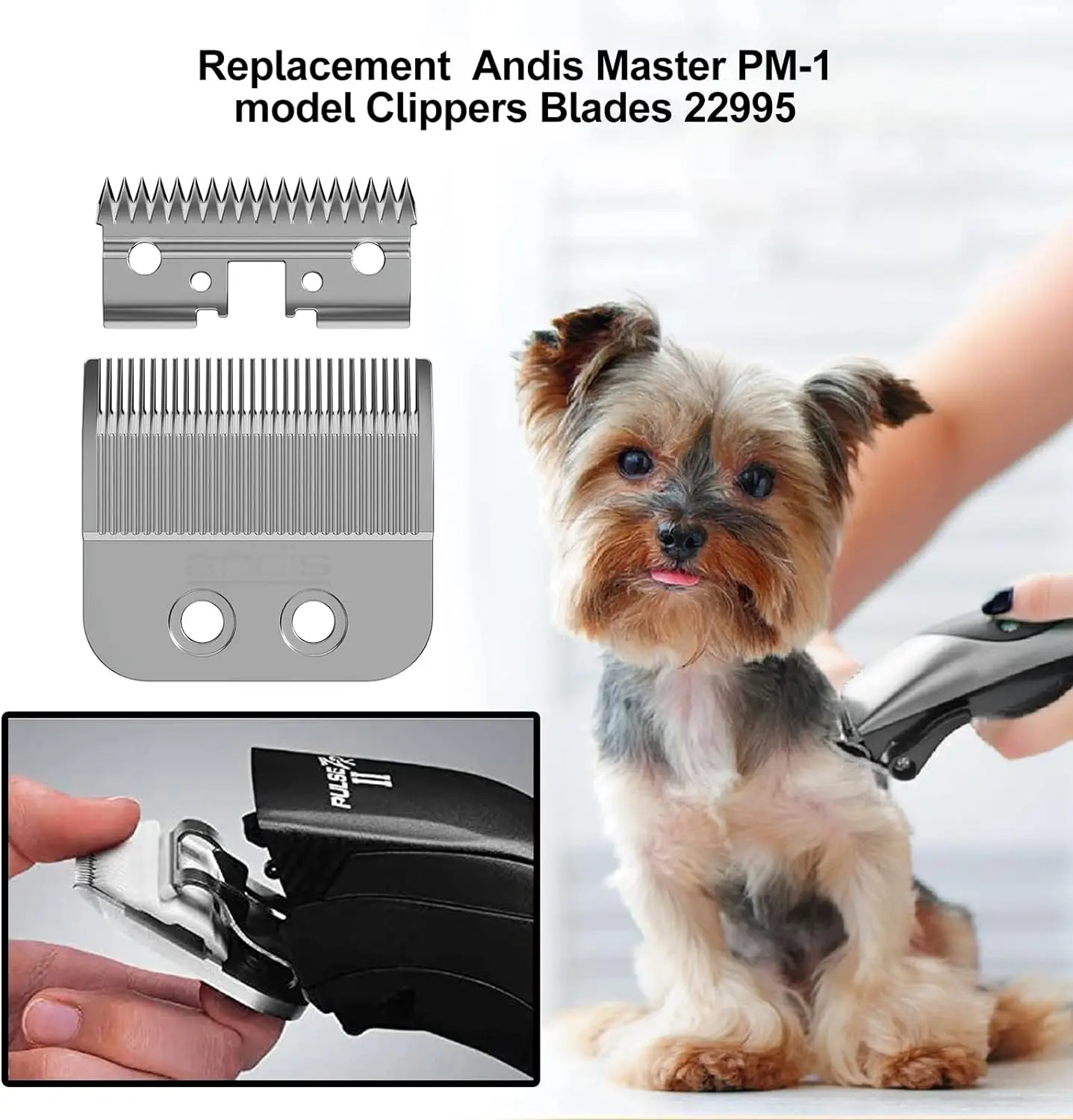 شفرة بديلة من الفولاذ المقاوم للصدأ لـ Andis masters ، speedmasters Clippers ، من أندي ماستر