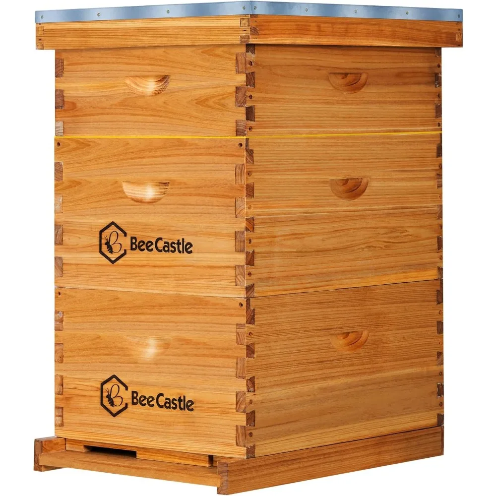 BeeCastle 10 إطارات Langstroth Bee Hive المطلي بشمع العسل تتضمن إطارات خلية النحل وأساس مشمع (صندوقين عميقين و1 متوسطة