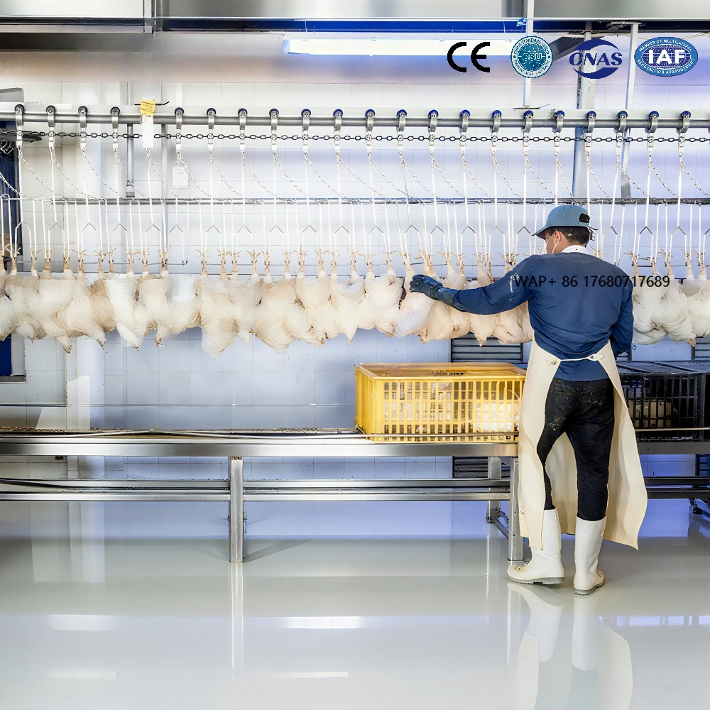Auto Halal Poultry Slaughter Machine Complete Processing Line Complies with Islamic Standards 500-3000 Birds/Hour
