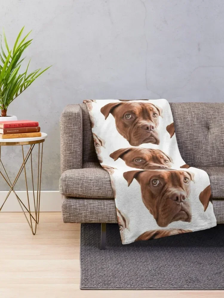 Melancholic Dogue de Bordeaux Throw Blanket Tourist Sofa Quilt valentine gift ideas Blankets