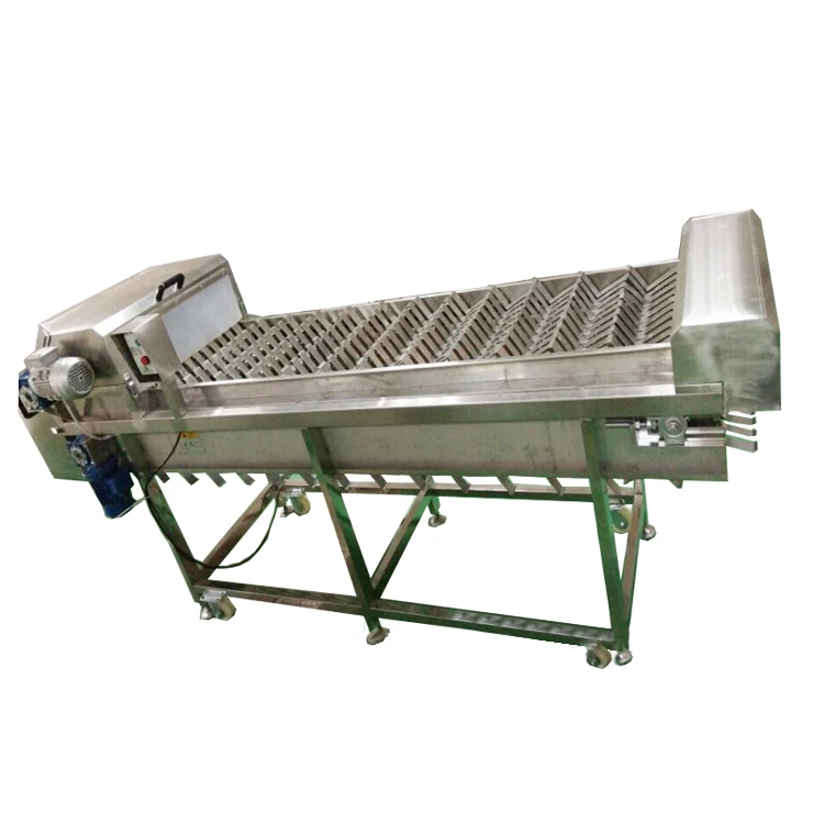 آلة قطع عصا الجزر والذرة الحلوة الأوتوماتيكية الصناعية #6