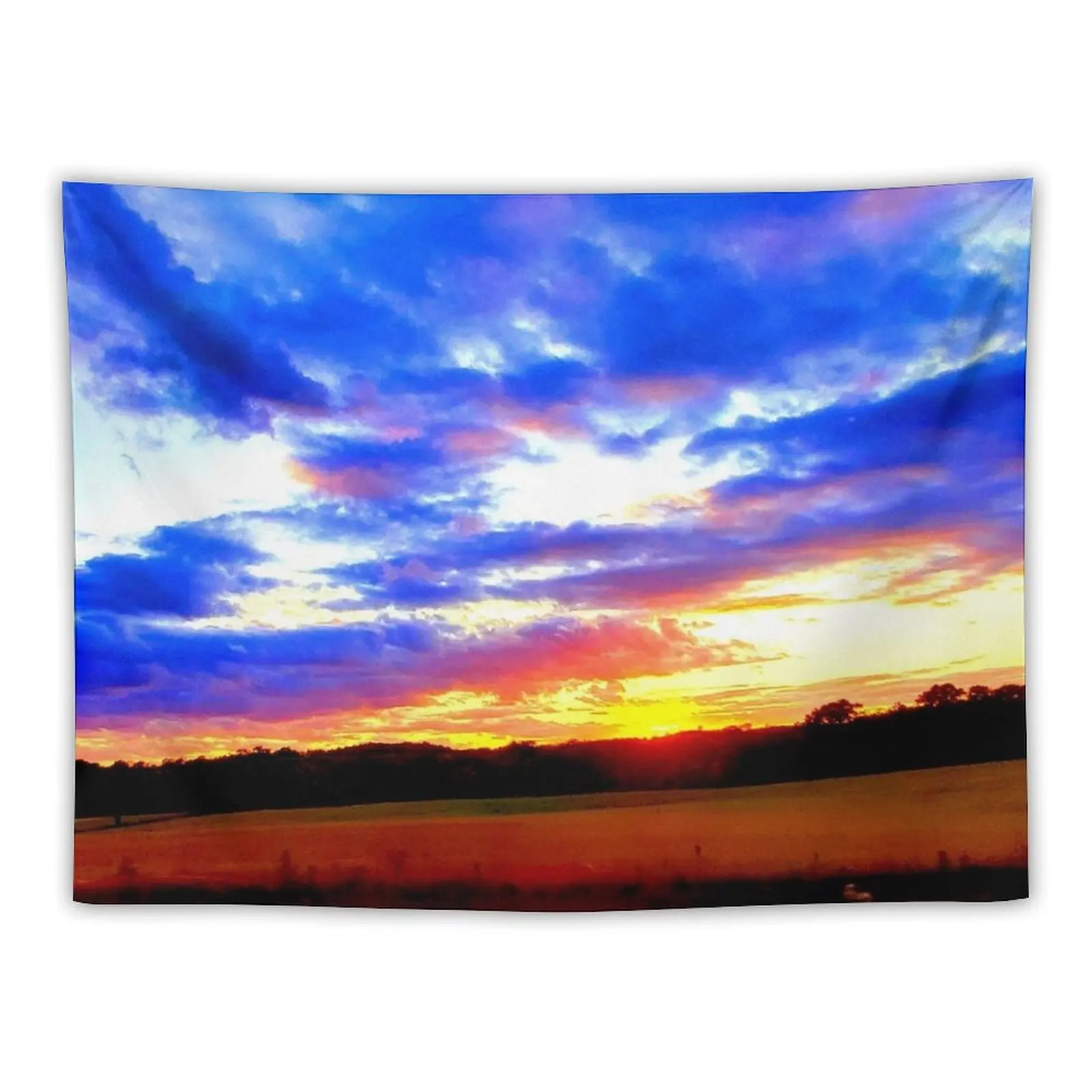 Wisconsin Sunset Tapestry Decorative Wall Murals Room Decorating Aesthetic Bedroom Organization And Decoration Tapestry