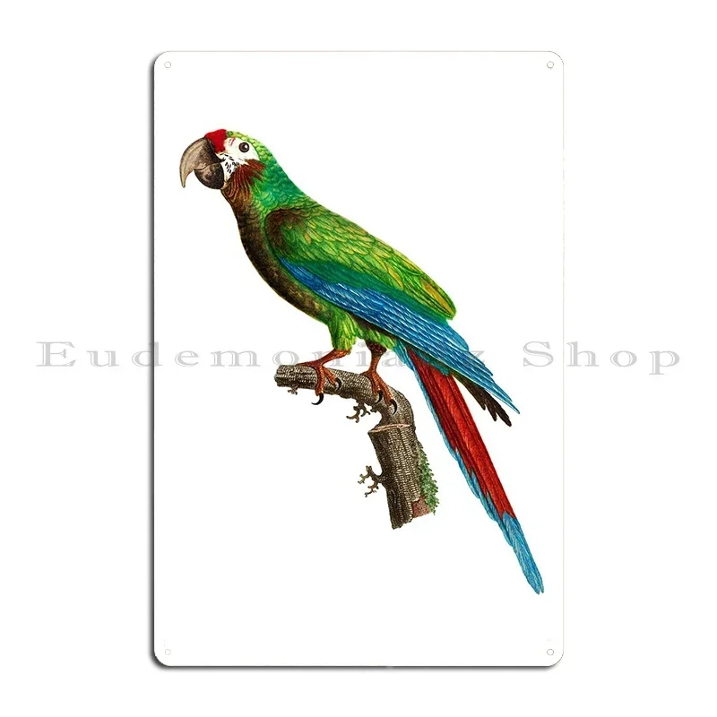 Great Military Macaw Bird Metal Sign Club Bar Printed Living Room Wall Custom Tin Sign Poster