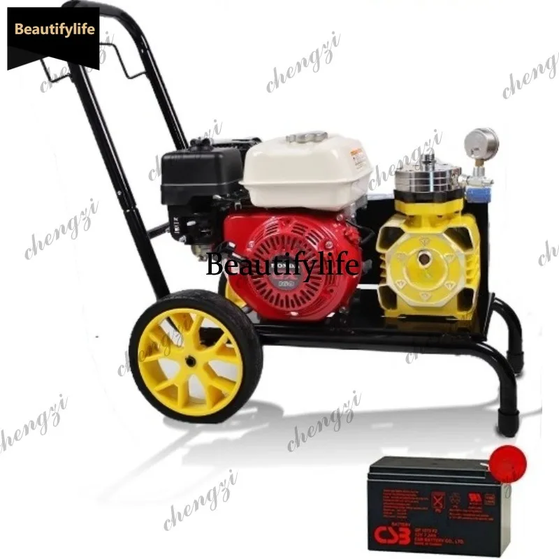 

Q181 Sprayer high pressure airless latex paint exterior wall diesel sprayer paint cold spray marking machine
