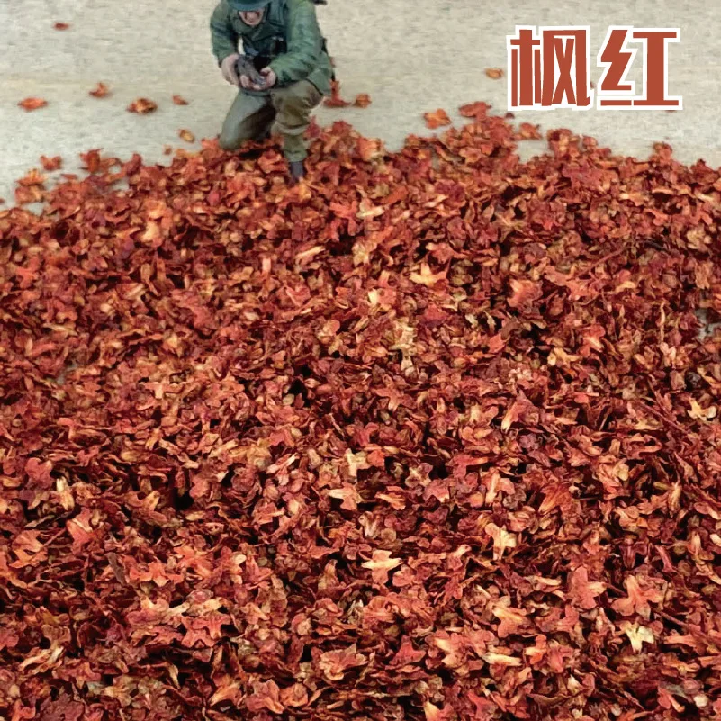 56ML DIY Modellbausätze Simulierte Bunte Baumblätter für Sandtisch-Pflanzenlandschaft Diorama-Zubehör – Detail 8