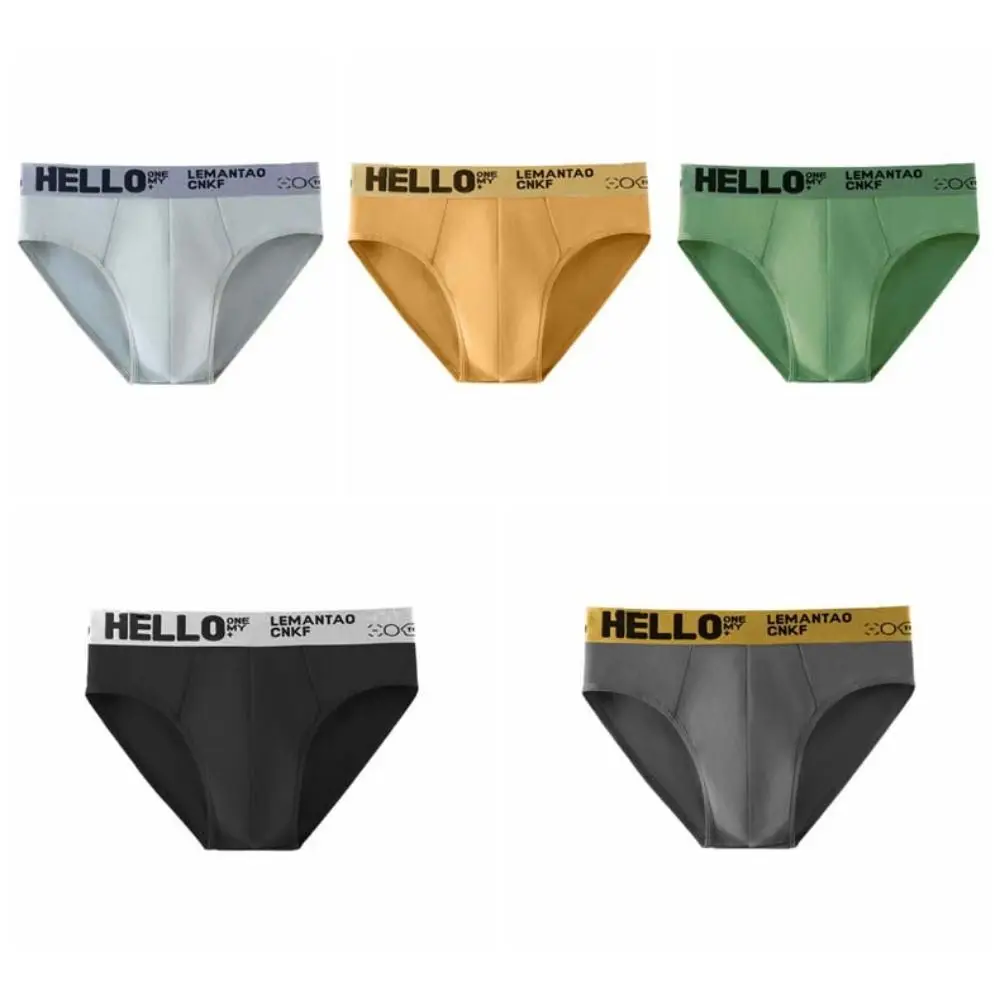 5PCS Simple Low Waist Men Thin Panties Male Lingerie Elastic Underwear for Men Briefs Letter Underpants Male
