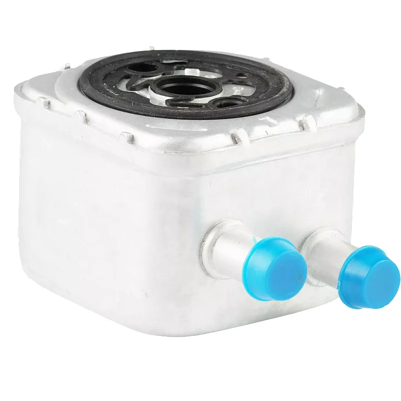 Passat Beetle Passa…