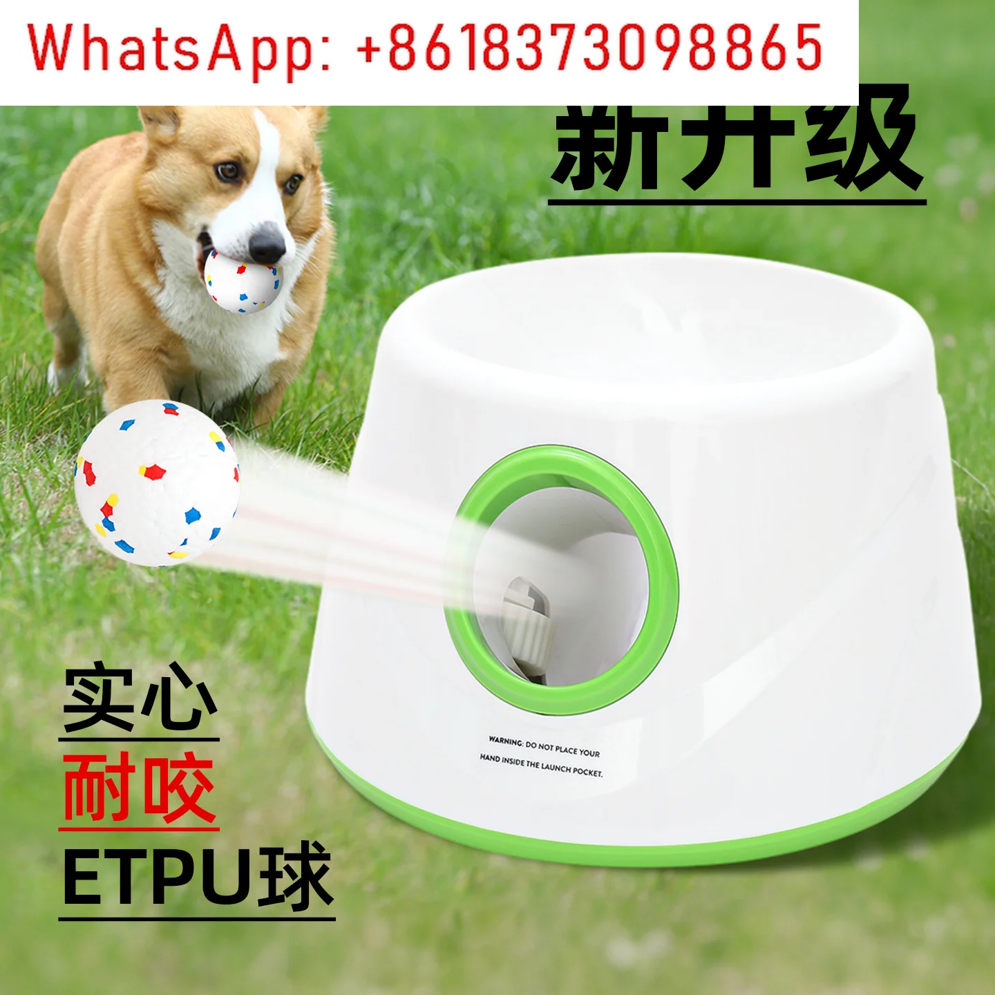 Dog toy ball bite-resistant and stuffy tennis ball automatic serve machine ETPU walking dogs and pets consumes physical strength